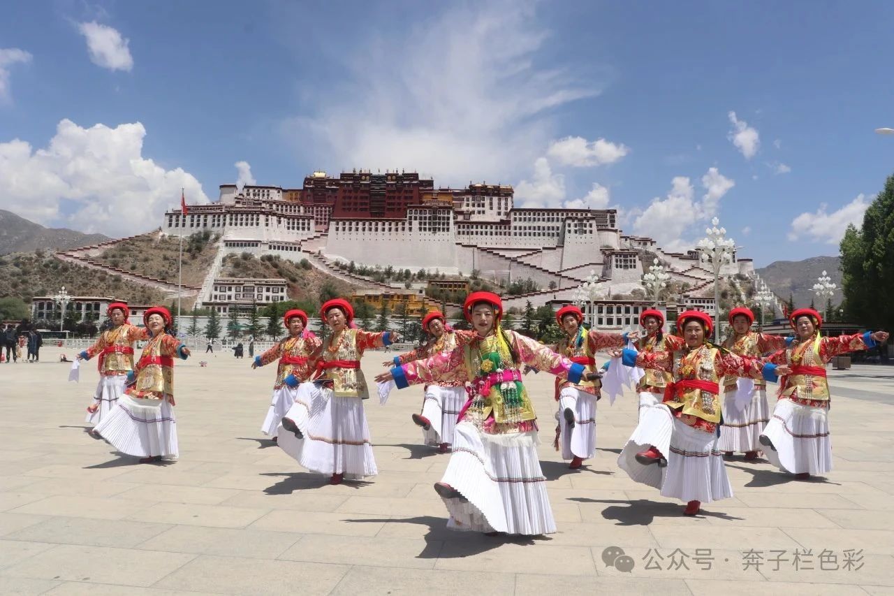 1755852823606048927.jpg ac71c8380ea0f084db319dd39b046bf1.jpg