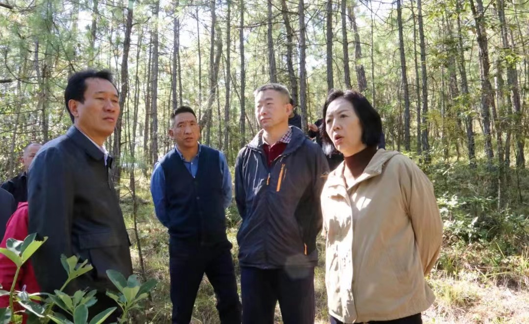 1668134209890051718.jpg 1668134209890051718.jpg