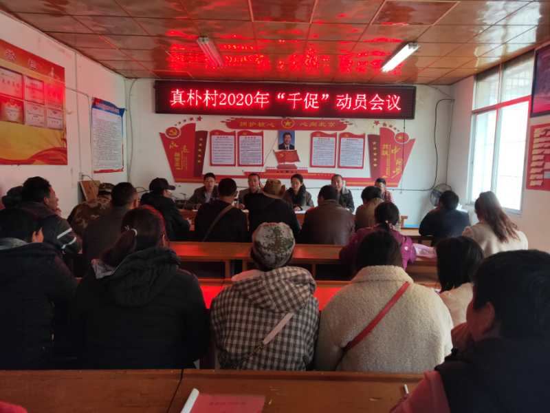 1637631034152084582.png 图片1.png