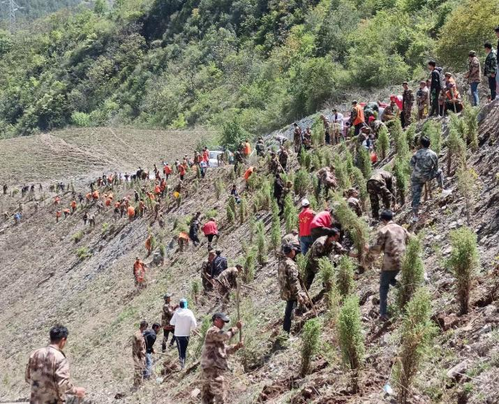 1649904239380049524.png 图片1.png