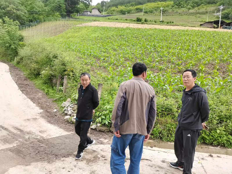 1656055713346004461.png 图片2.png