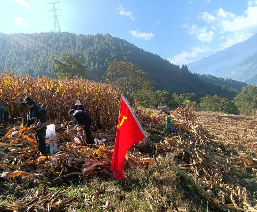 1698119773581001779.png 图片1.png