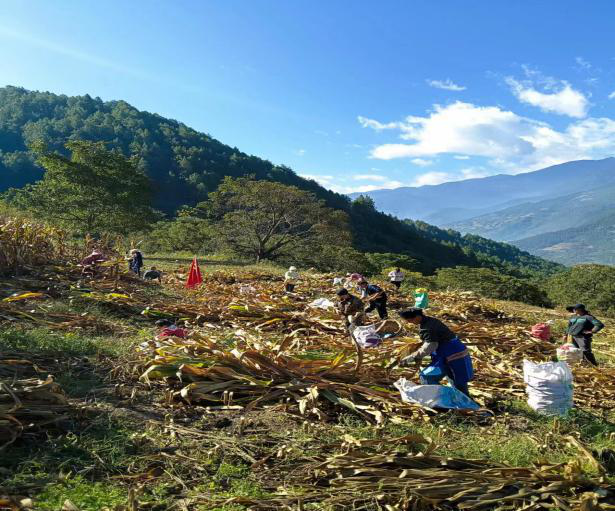 1698119784558059287.png 图片2.png