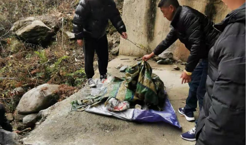 1698916559677007947.png 图片1.png