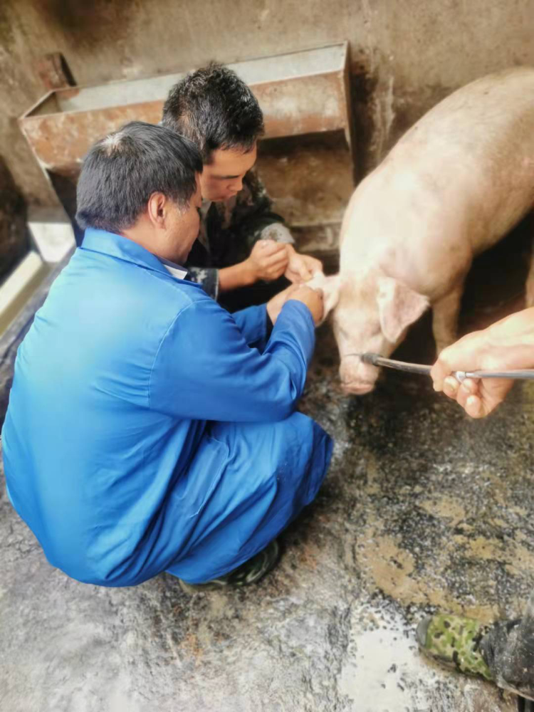 1635061690404078419.png 2.png