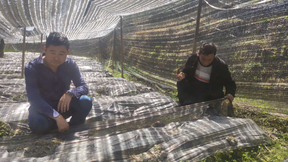 1638158150464046599.png 2.png