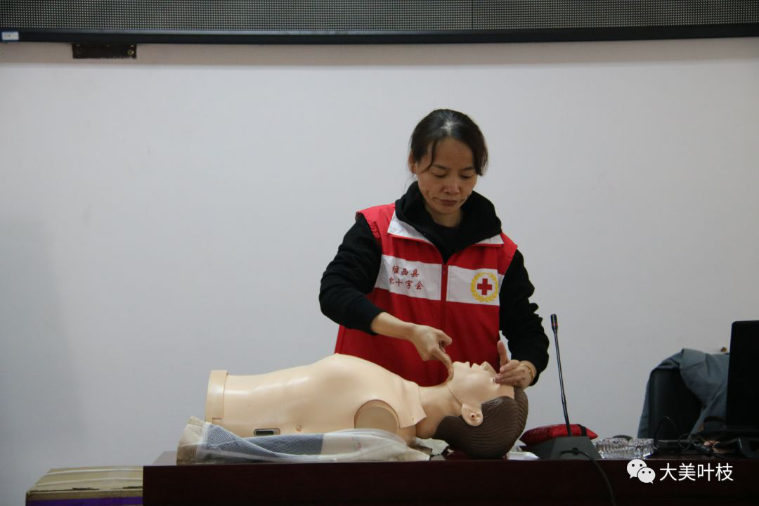 1638275590688008974.png 2.png