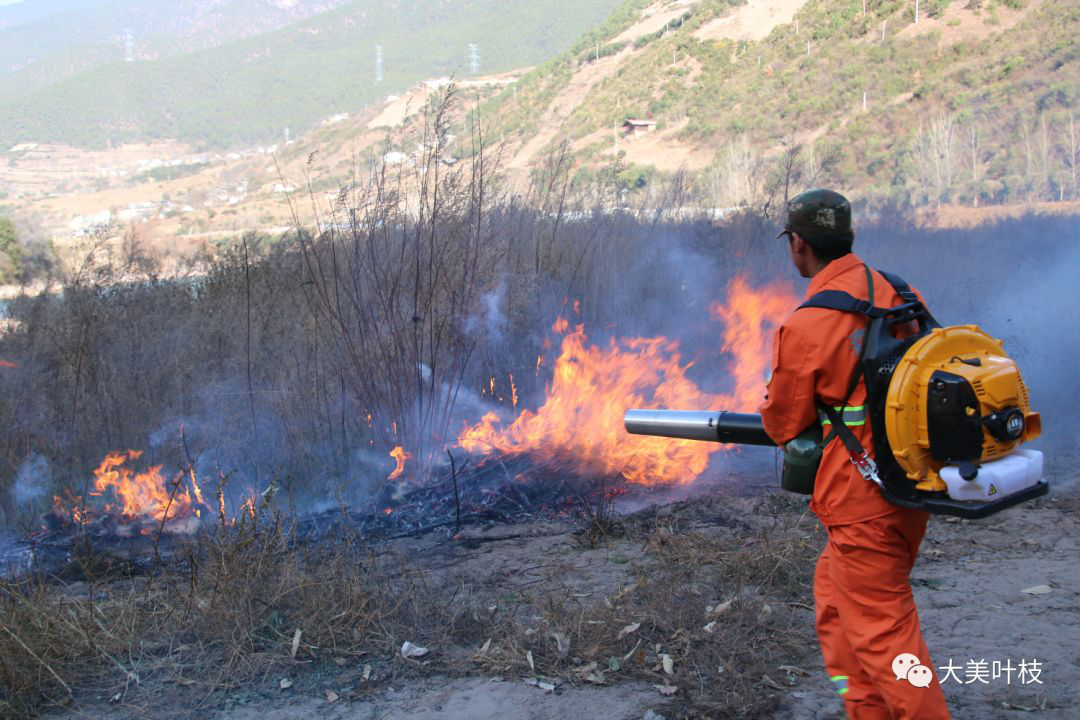 1638275643545078293.png 5.png