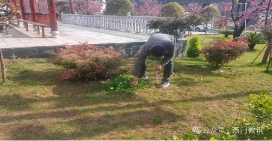 微信图片_20240411145554.png
