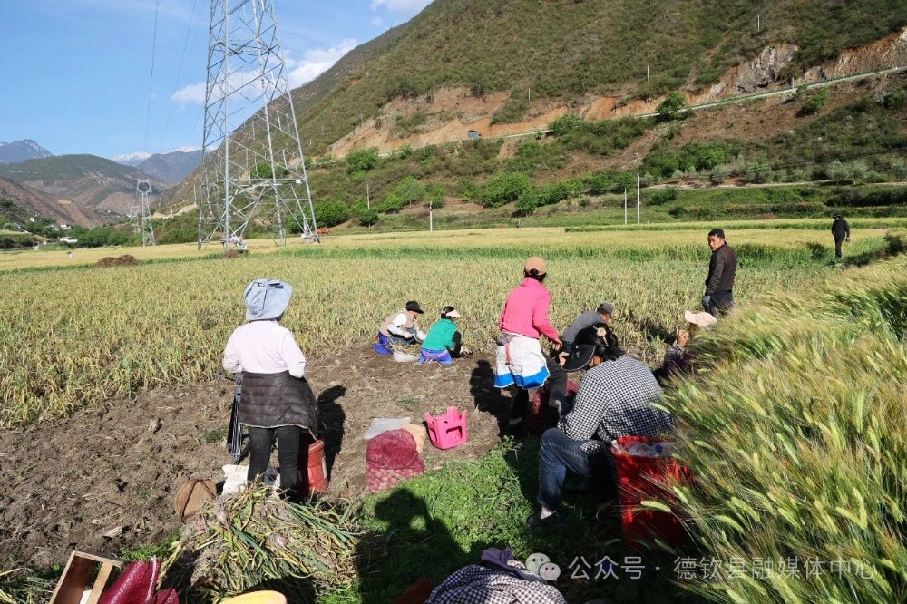 微信图片_20240508151706.jpg
